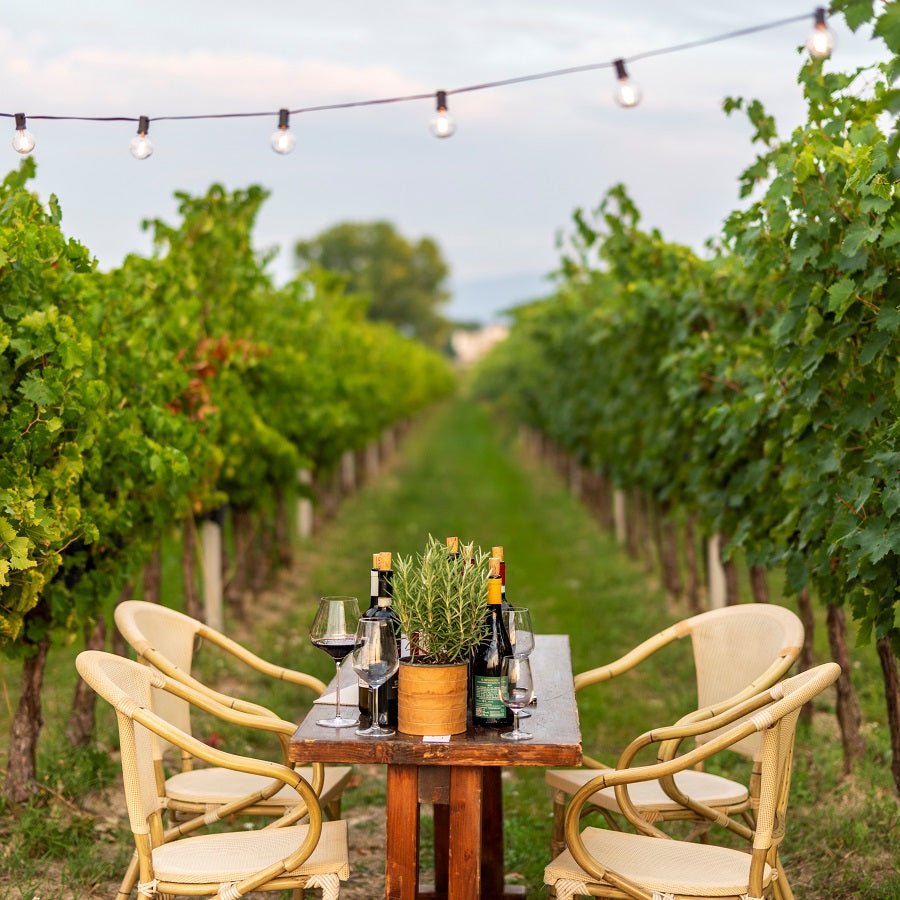 Soggiorno & Degustazione in Wine Resort - Umbria Umbria Umbria