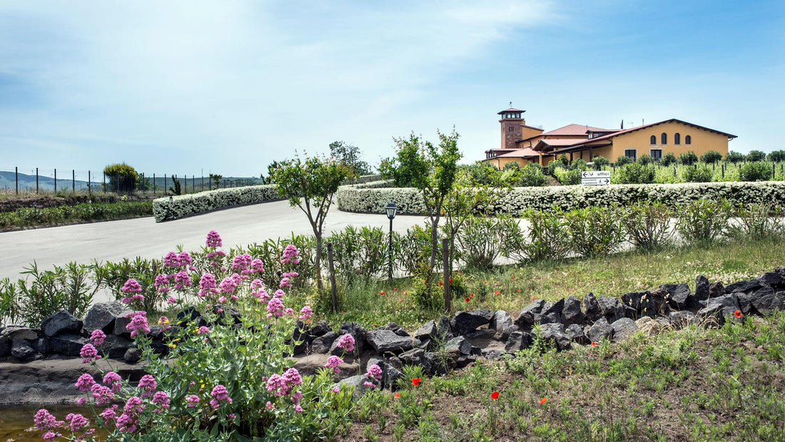 Cantine del Notaio - Il Cuore Lucano