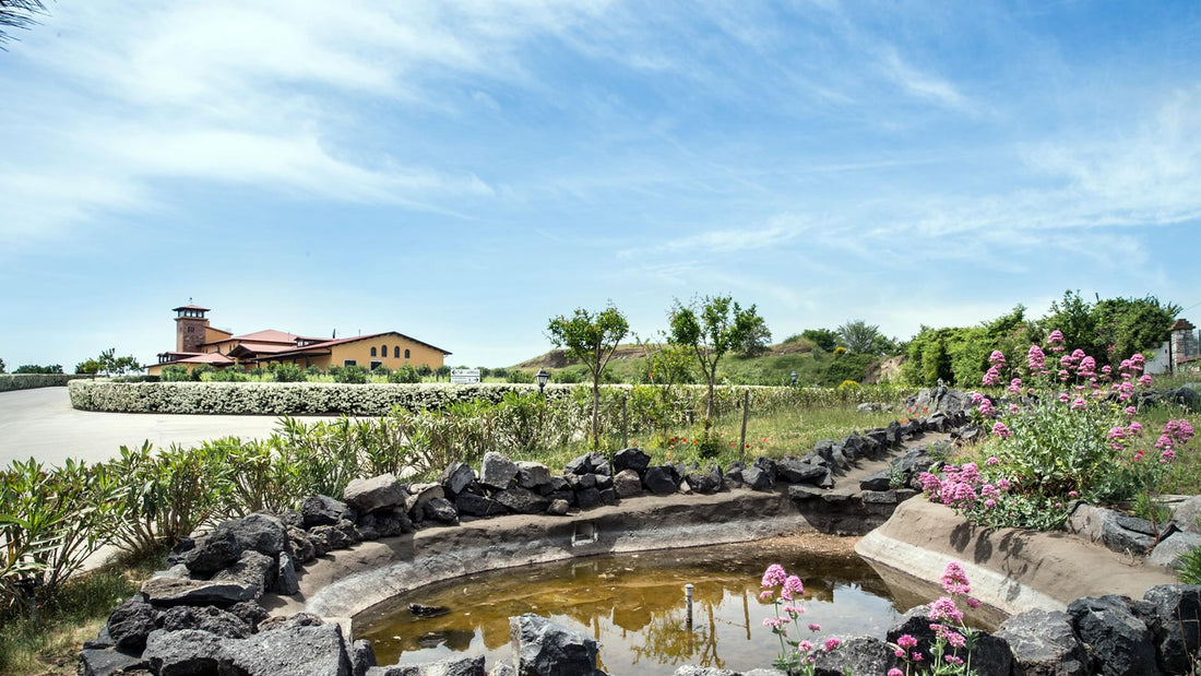 Cantine del Notaio - Il Cuore Lucano