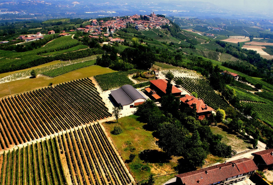 Cantina Bel Colle - Cru di Langa - Piemonte