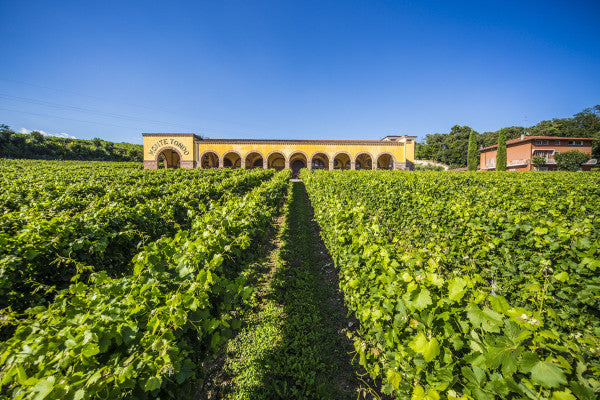 Az.Agr. Montetondo - PERCORSO CLASSICO Veneto Az.Agr. Montetondo