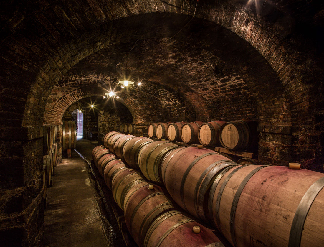 Castelvecchi - Degustazione sensoriale