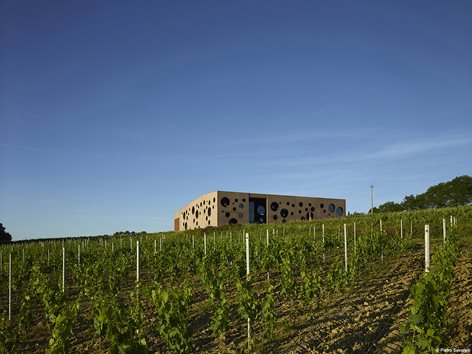 Podere la chiesa - Degustazione 7 vini Toscana Podere la chiesa