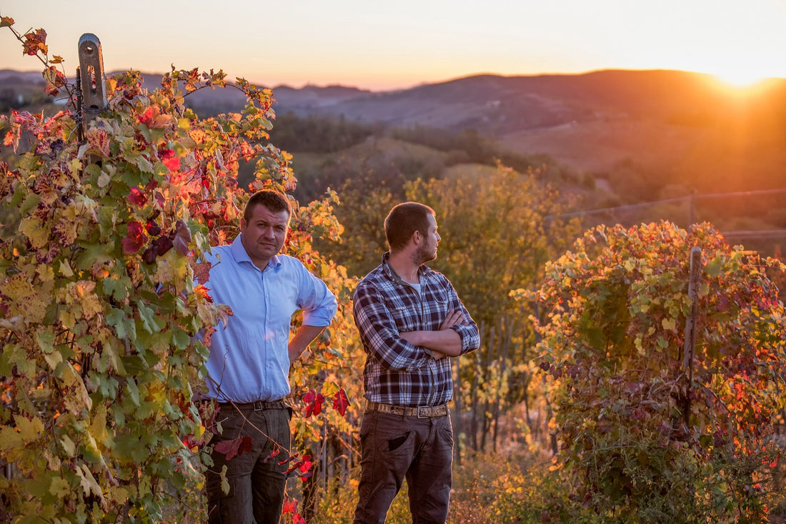 Calatroni wines - escursione in bici, pic nic e degustazione - WINERIES