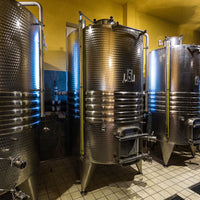 Cantina Le Macchie - Wine & Food Experience - WINERIES