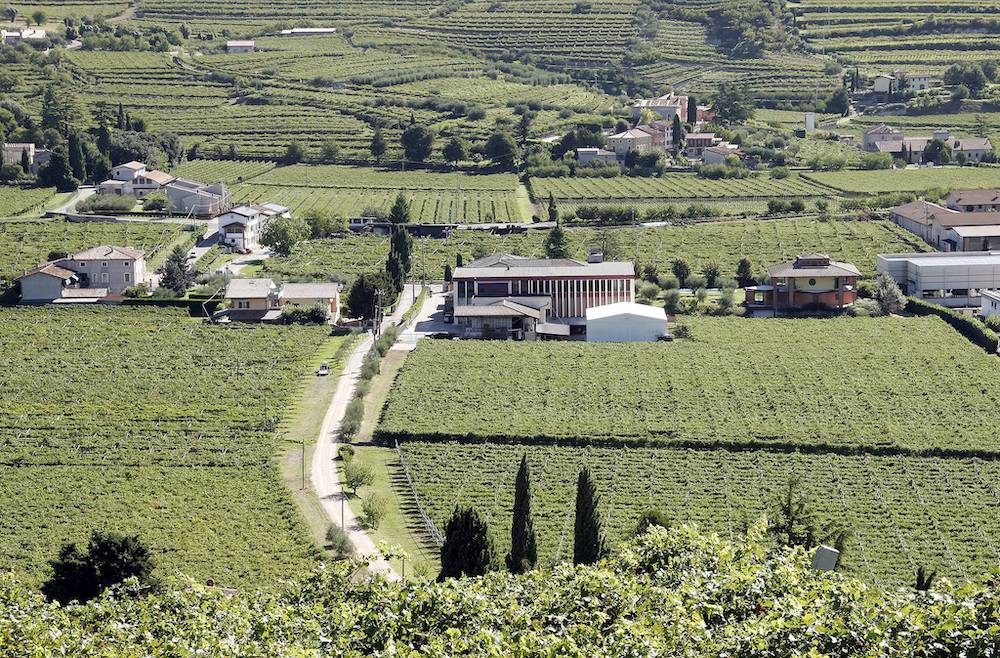 Castellani Michele - Degustazione 4 Vini