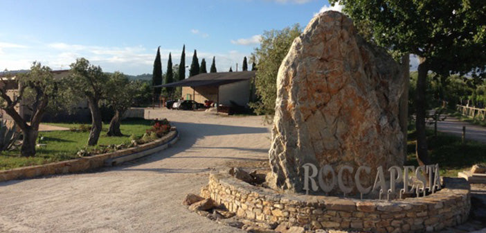 Cantina Roccapesta - Visita & Degustazione privata