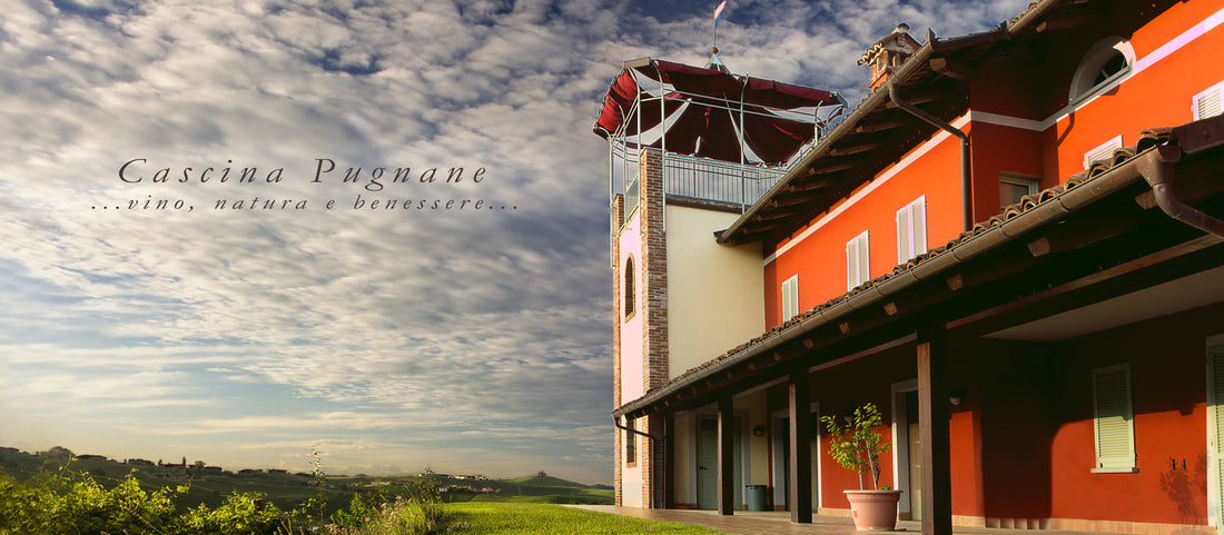 Cascina Pugnane - Pranzo in vigna Piemonte Cascina Pugnane