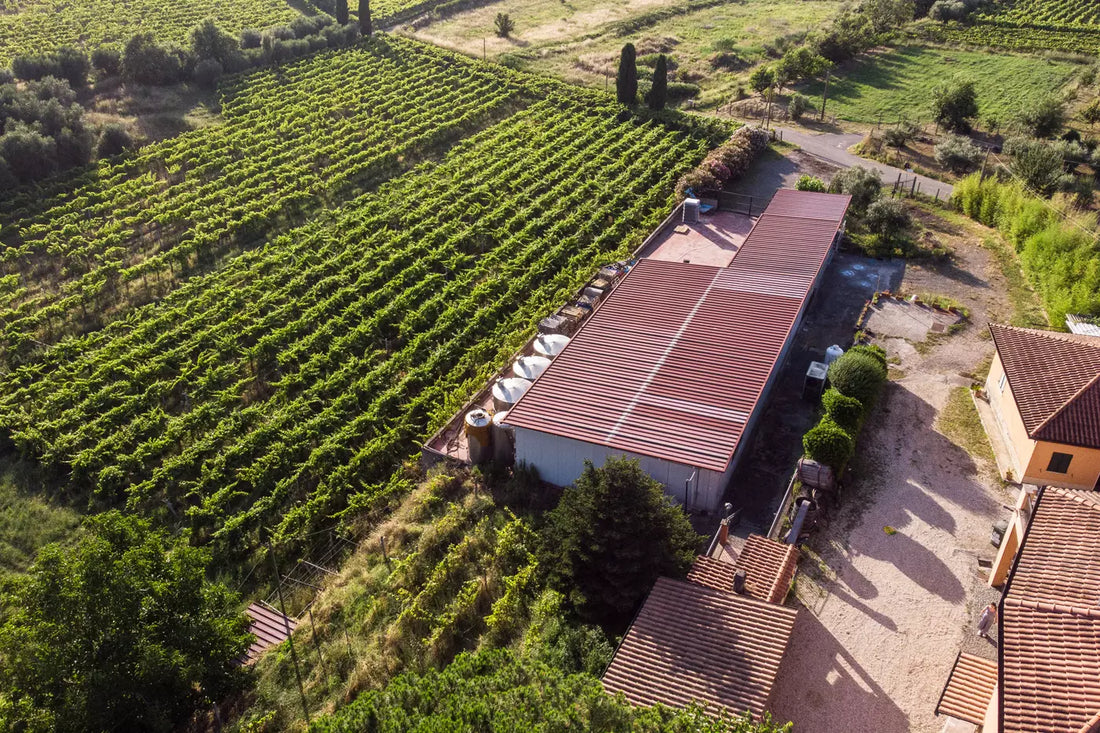 Casale Mattia - Degustazione con light lunch - Lazio