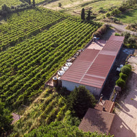 Casale Mattia - Pic nic nel vigneto - Lazio