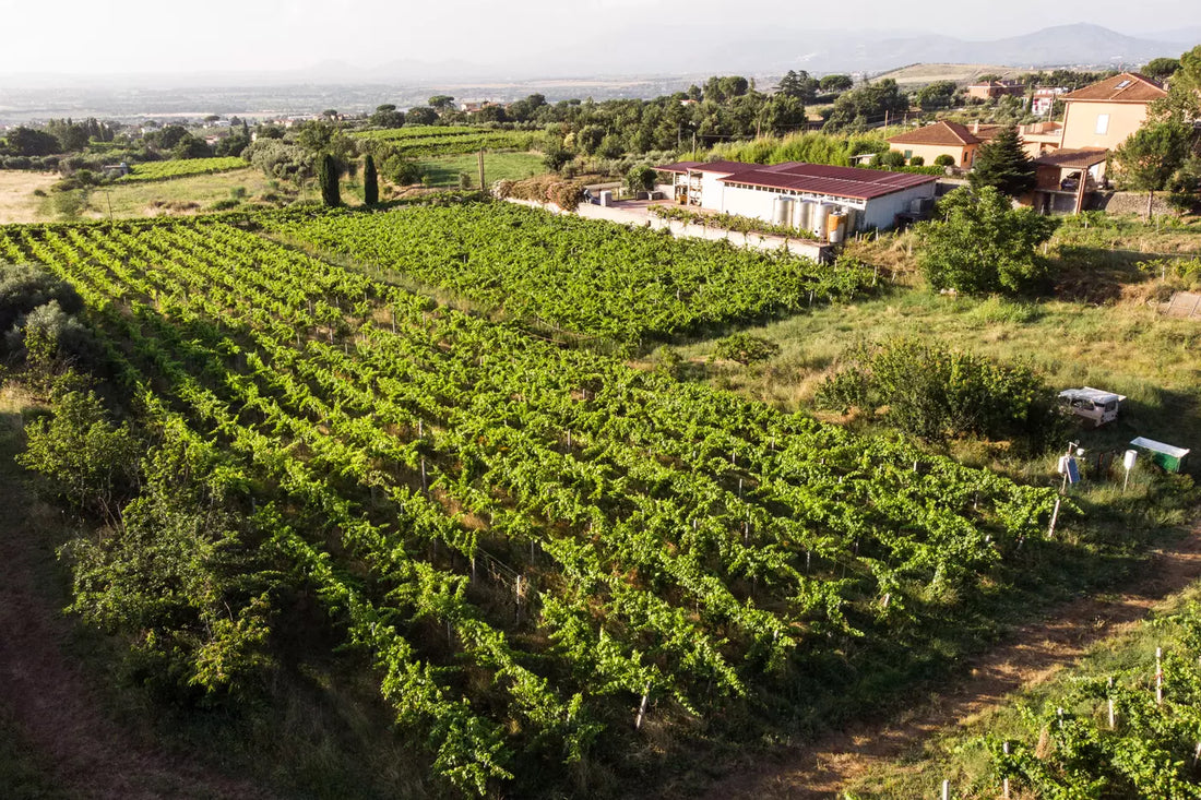 Casale Mattia - Degustazione 2 vini - Lazio