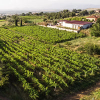 Casale Mattia - Pic nic nel vigneto - Lazio