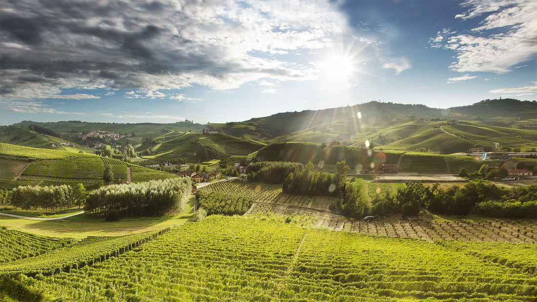 Cascina Pugnane - Barolo Soggiorno & Wine experience Piemonte Cascina Pugnane