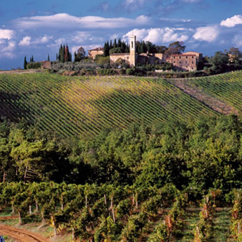 Isole e olena - Degustazione di vino esclusiva