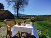 Tenuta Pacelli - Pranzo in vigna & Degustazione