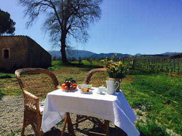 Tenuta Pacelli - Pranzo in vigna & Degustazione