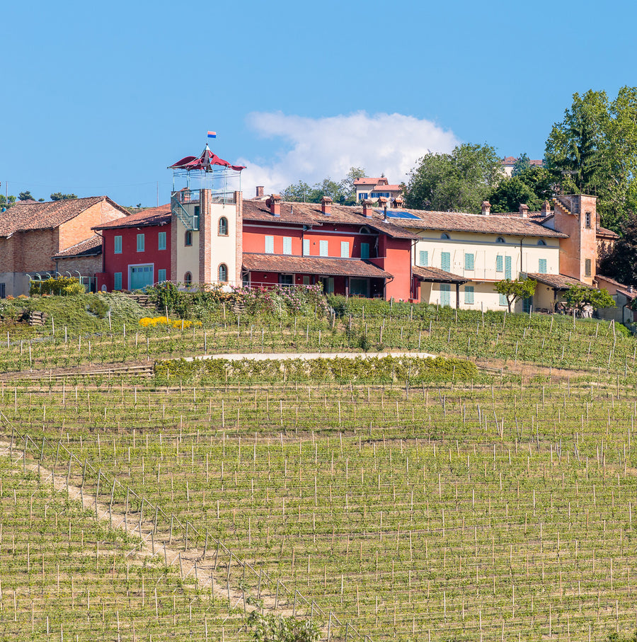 Cascina Pugnane - Pranzo in vigna Piemonte Cascina Pugnane