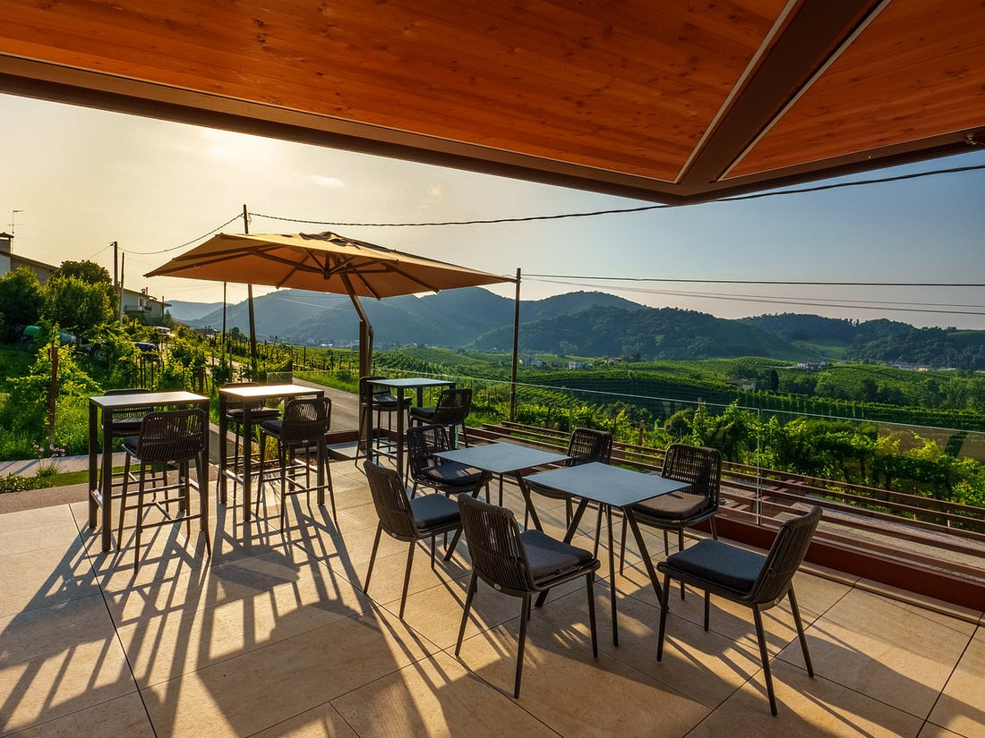 Rebuli - Degustazione e Visita della cantina Veneto Rebulli