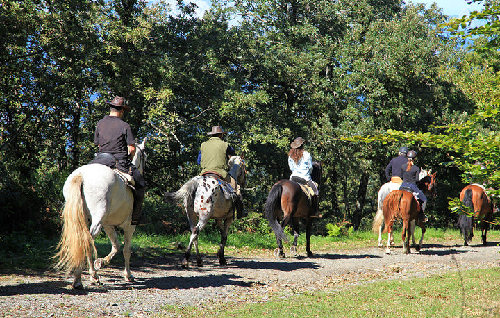 Castello di Corbara - Passeggiata a cavallo Umbria Castello di Corbara