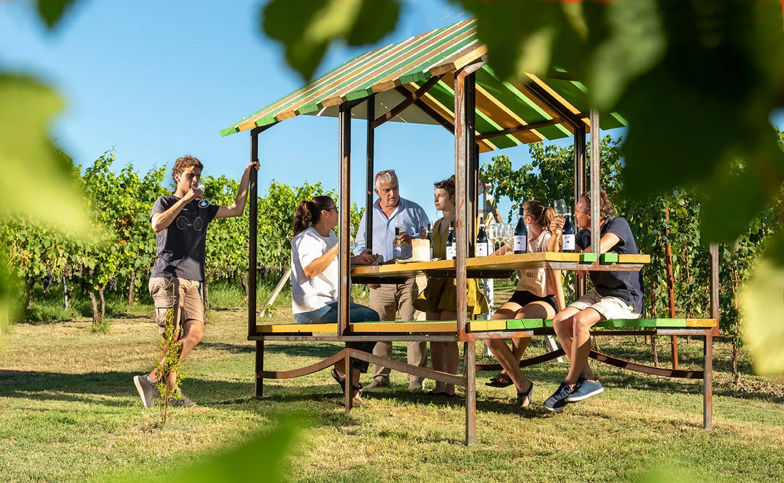 PQlin Winery - ROERO 100% Piemonte PQlin Winery