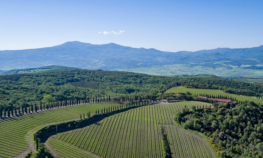 Poggio antico - Degustazione di vino esclusiva