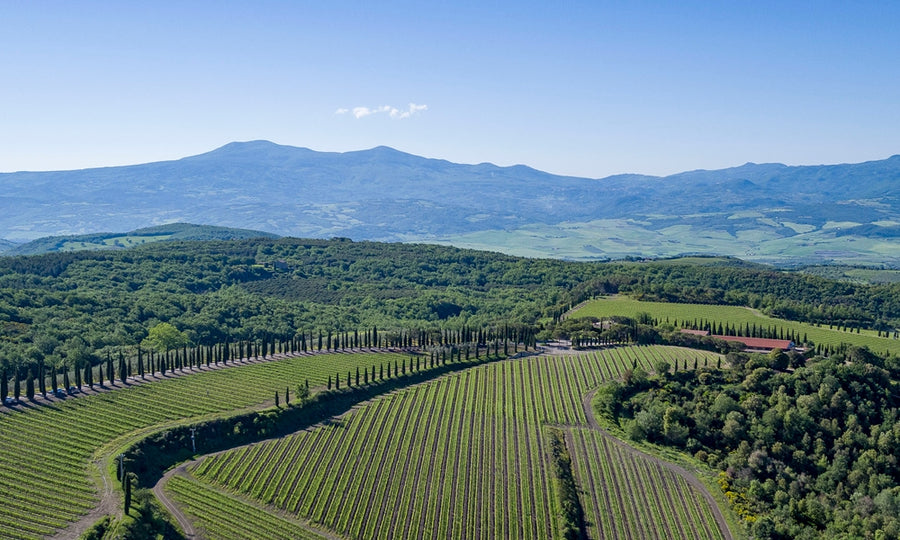 Poggio antico - Degustazione di vino esclusiva