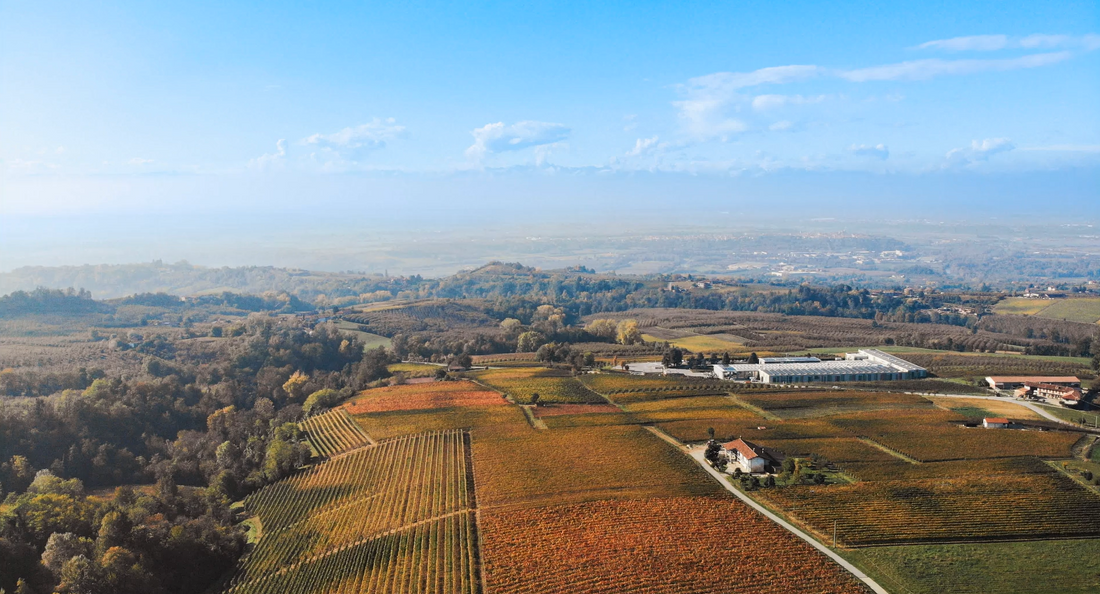 Dosio Vigneti - Il Barolo si svela