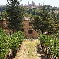 Arrigoni 1913 - Chic Nic e tour di cantina e vigneti - WINERIES