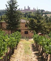 Arrigoni 1913 - Chic Nic e tour di cantina e vigneti - WINERIES