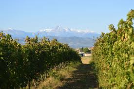 Colline del Ducato - Tour 2 giorni - WINERIES