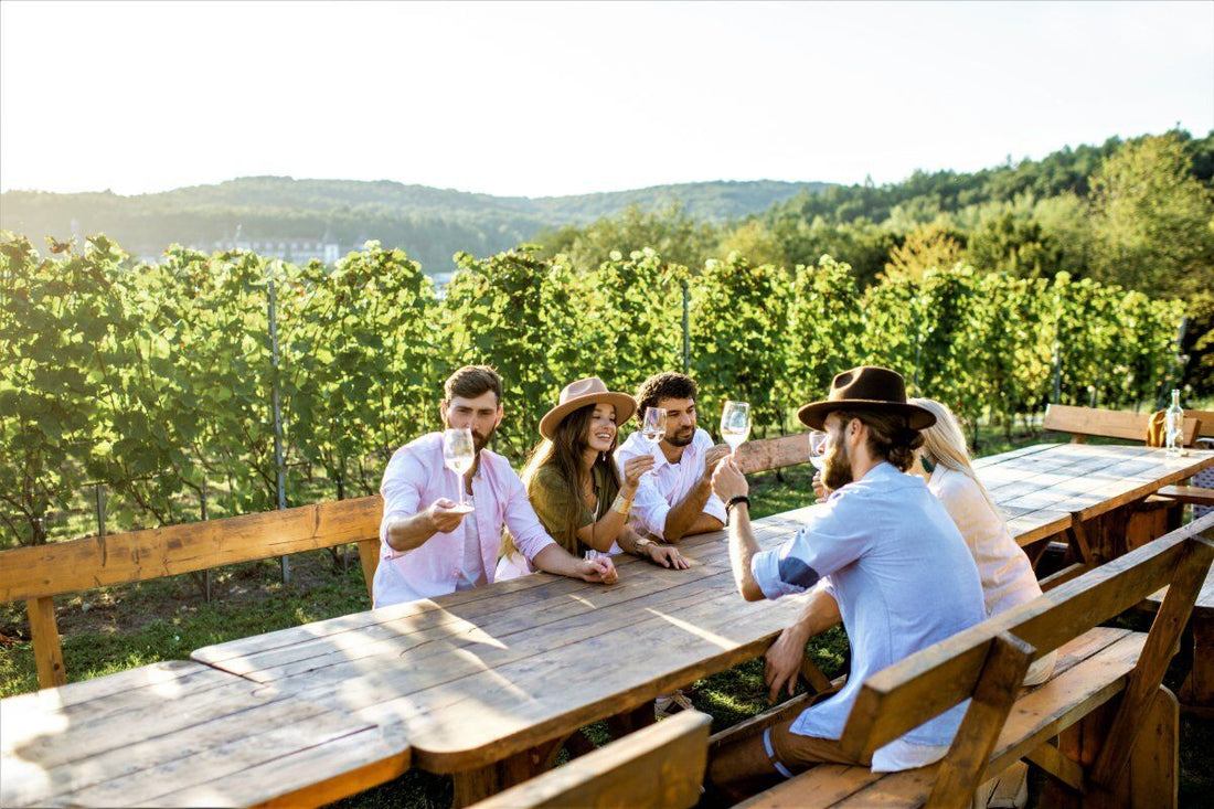 Calatroni wines - escursione in bici, pic nic e degustazione - WINERIES