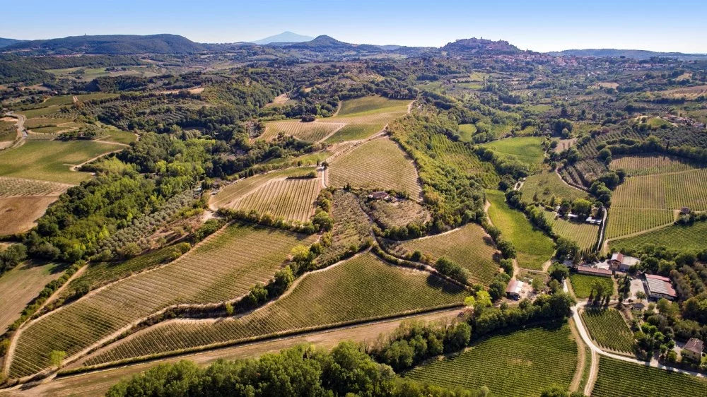 Valdipiatta - Degustazione di vino esclusiva