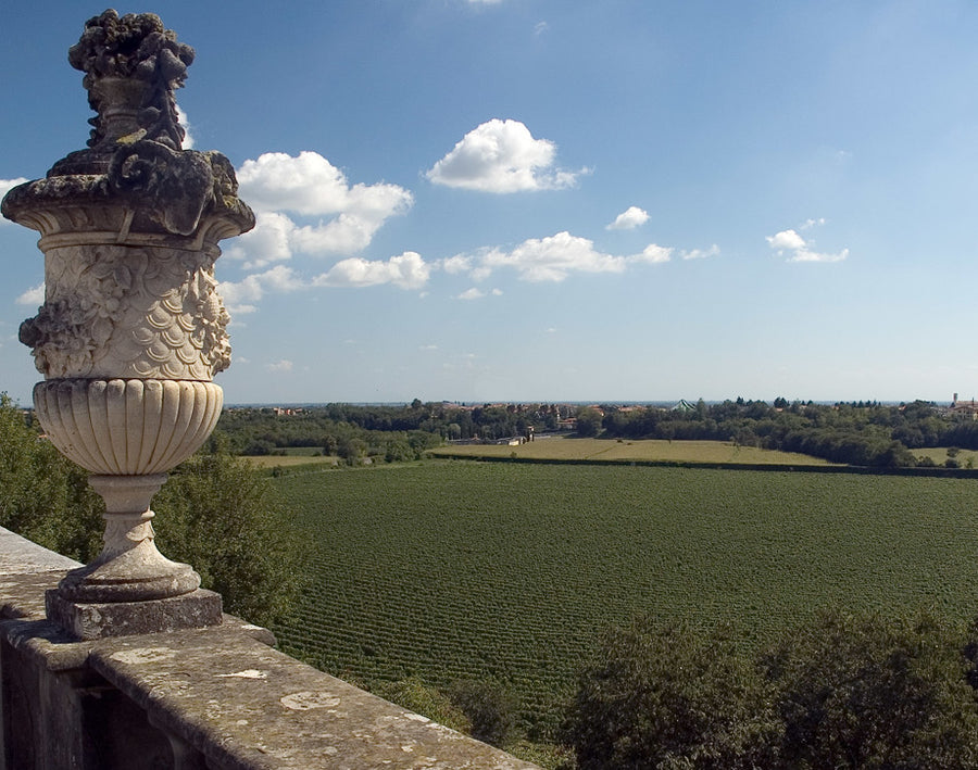 Tenuta Antinori Montenisa - Degustazione di vino esclusiva