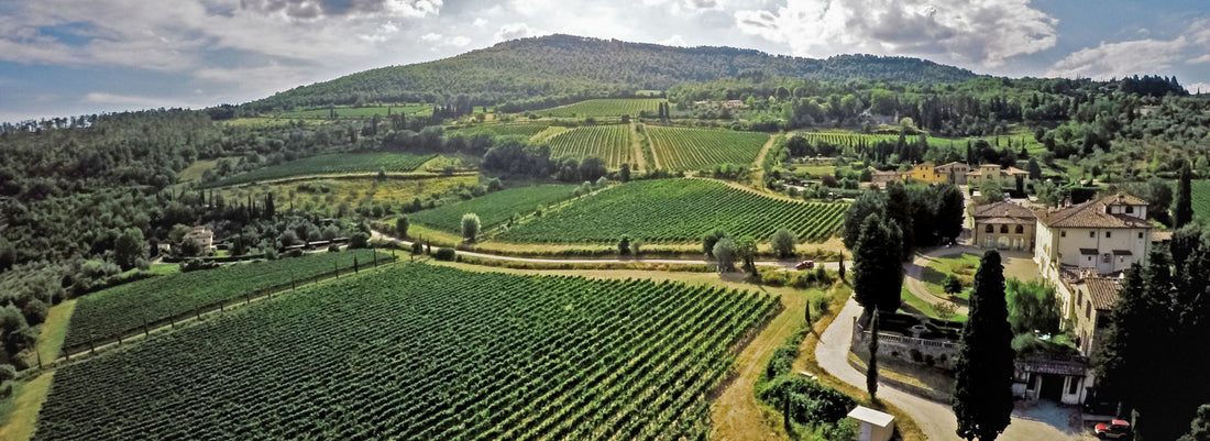 Tenuta Antinori Monteloro - Degustazione di vino esclusiva