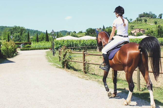 Torciano Winery - Passeggiata a Cavallo e Degustazione di Vino