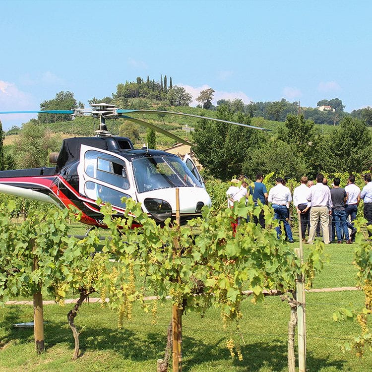 Torciano Winery - Tour in Elicottero & Degustazione