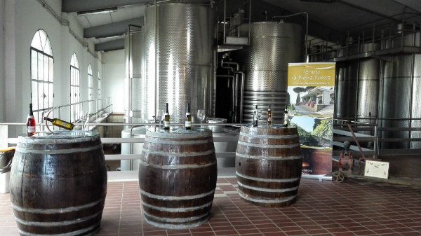 Tenuta di Pietra Porzia - Esperienza Old Vintage Lazio Tenuta di Pietra Porzia