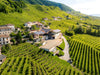 Rebuli - Degustazione e Visita della cantina