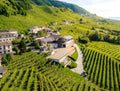 Rebuli - Degustazione e Visita della cantina