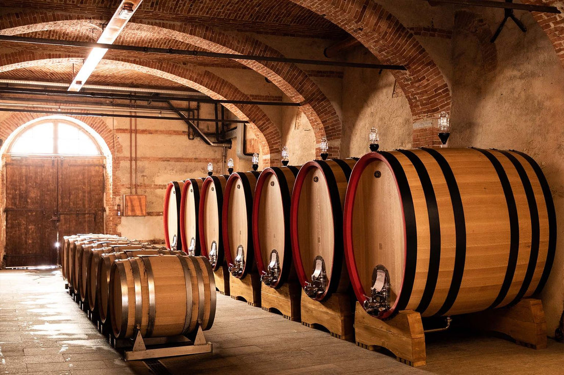 Marchese di barolo - Degustazione di vino esclusiva