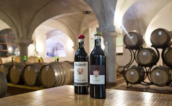 Cantina Roccapesta - Visita & Degustazione privata