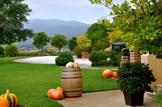 Le Mortelle - Nel Cuore della Cantina
