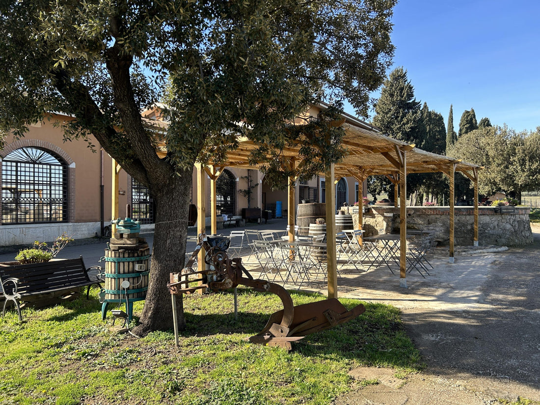Tenuta di Pietra Porzia - Esperienza Old Vintage Lazio Tenuta di Pietra Porzia