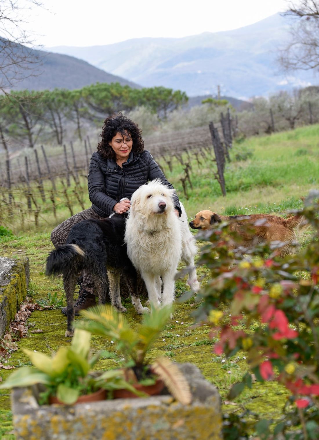 AlePa - Degustazione in Campagna