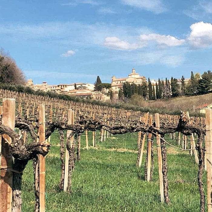 La Veneranda - Degustazione San Fortunato - WINERIES