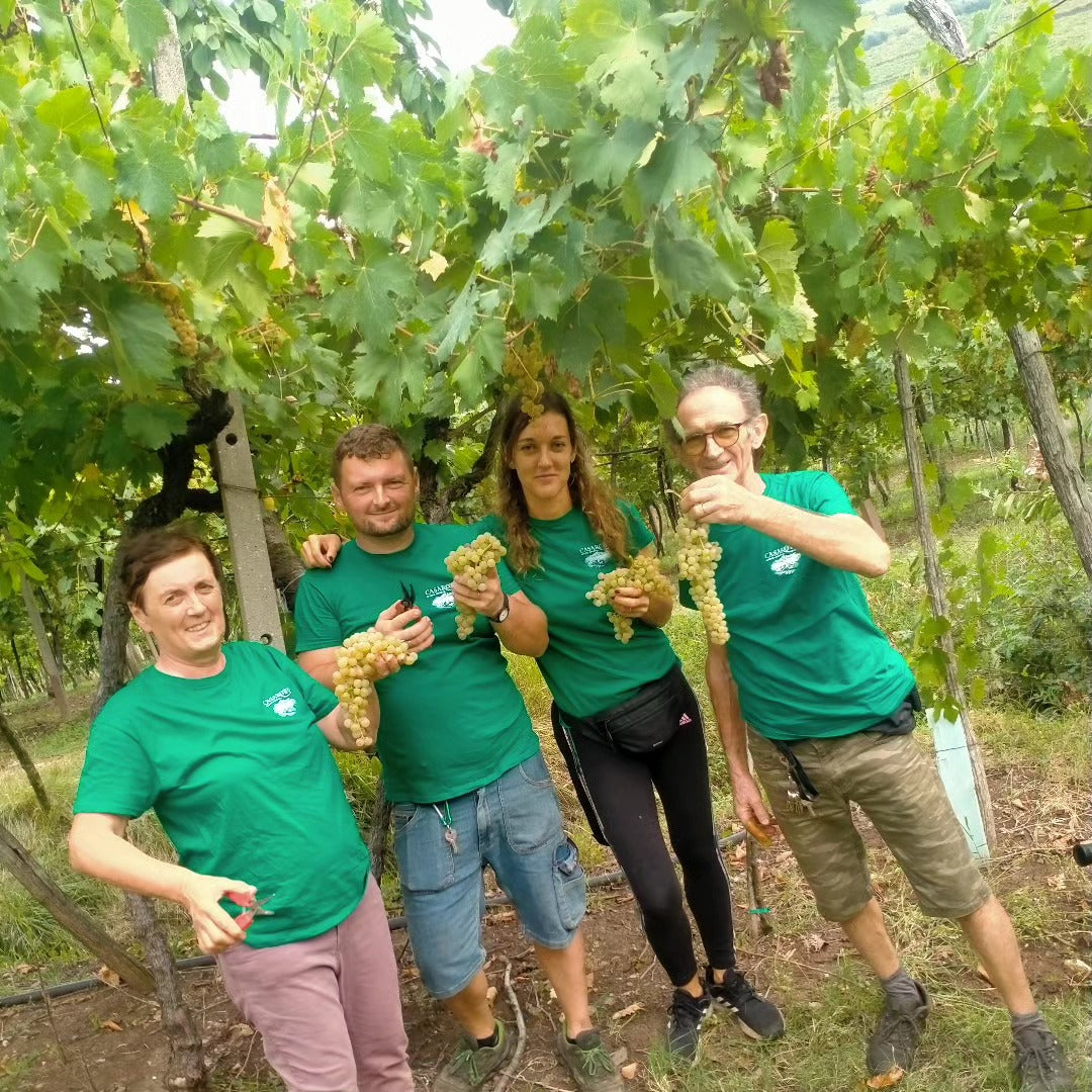 Azienda Agricola Casarotto - Degustazione Media - Veneto