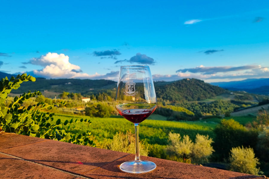 Travignoli - Tasting with view - WINERIES