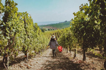 Oddone Prati - Degustazione classica - Piemonte