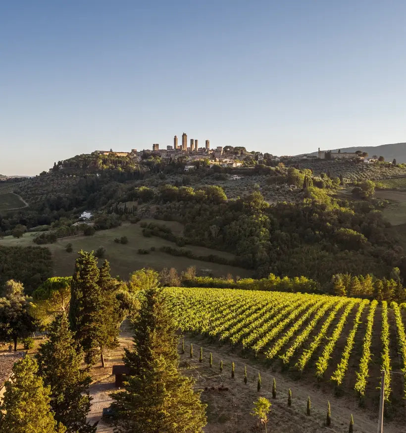 Arrigoni 1913 - Chic Nic e tour di cantina e vigneti - WINERIES