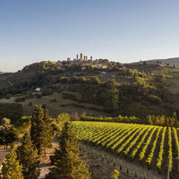 Arrigoni 1913 - Chic Nic e tour di cantina e vigneti - WINERIES